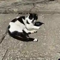 大綱金刀比羅神社(神奈川県)