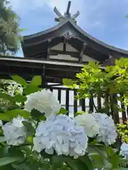 武蔵第六天神社の本殿