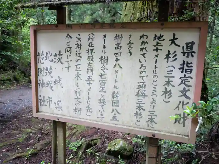 花園神社(茨城県)