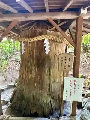 大神神社(奈良県)