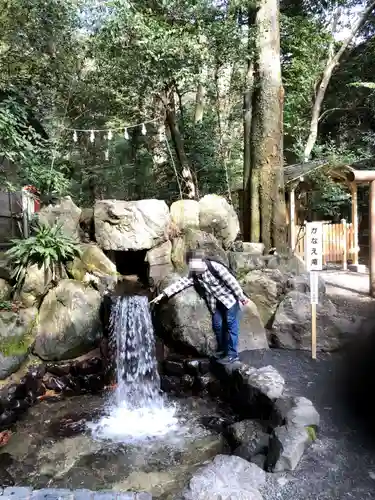 椿岸神社の自然