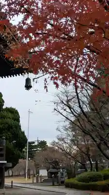 妙顯寺（妙顕寺）(京都府)
