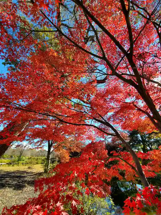 緑水神社の自然