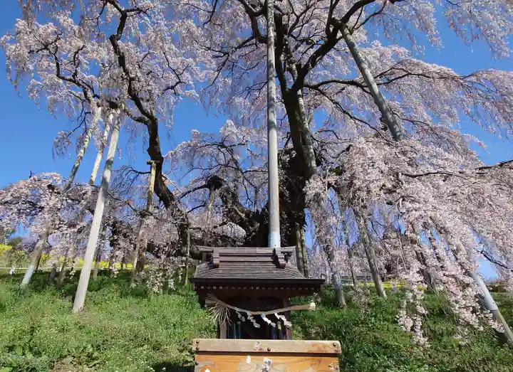 瀧桜神明宮(福島県)