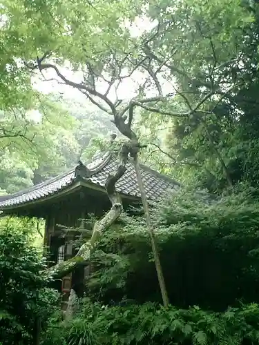 瑞泉寺のその他建物