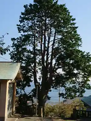 素鵞神社の自然