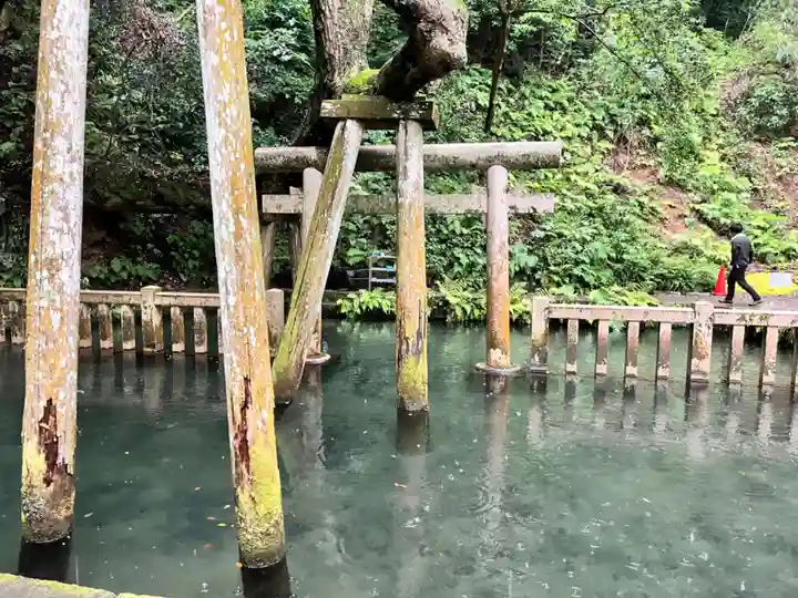 奥宮(鹿島神宮摂社)(茨城県)