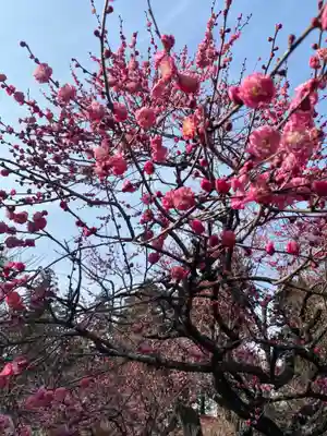 芳賀天満宮(栃木県)
