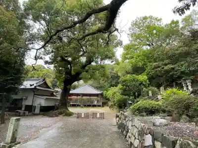観音寺(香川県)