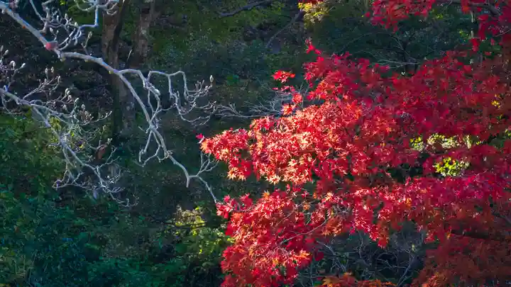 長谷寺(奈良県)