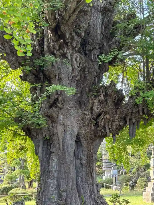 西光院(茨城県)