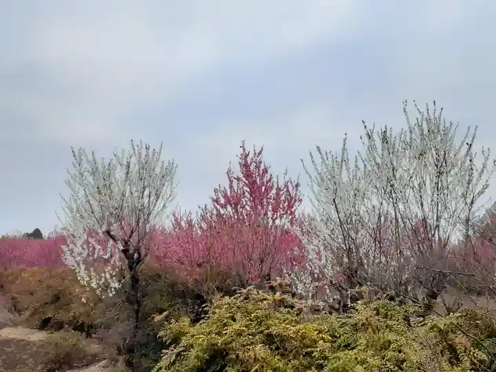 伏木香取神社(茨城県)