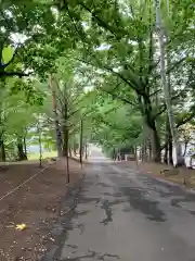 相馬神社の建物その他