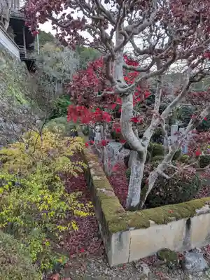 聖林寺(奈良県)