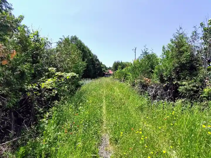 老節布神社(北海道)
