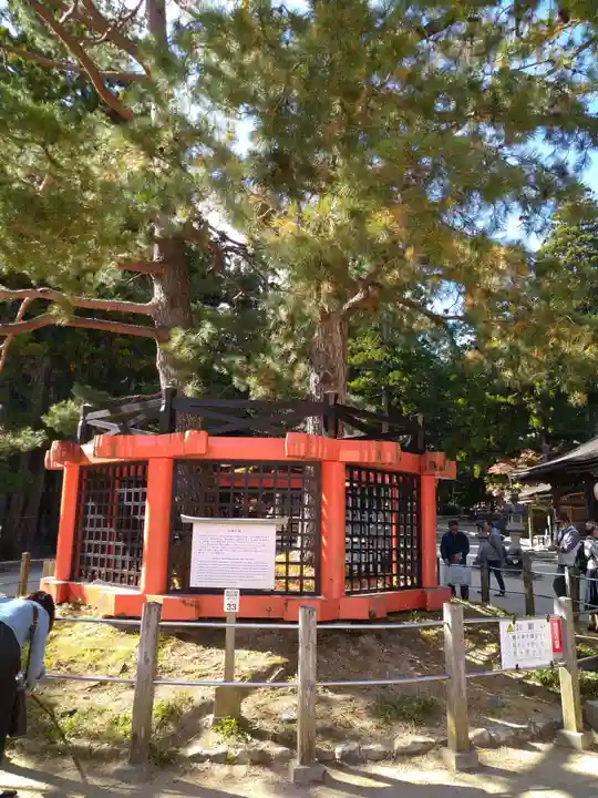 壇上伽藍(和歌山県)