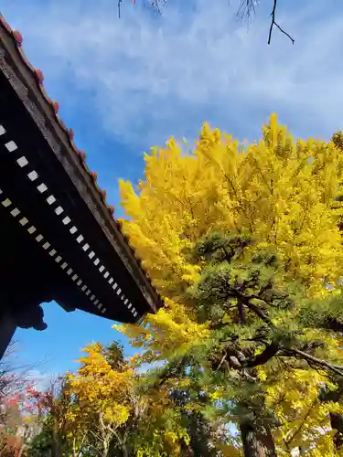 如宝寺(福島県)