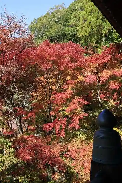 播州清水寺の自然