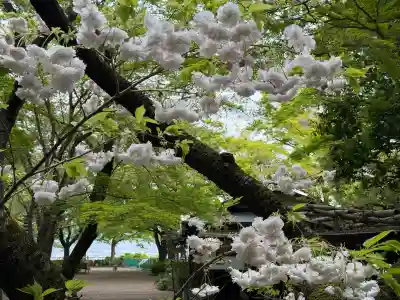 石清水八幡宮の{uncategorized: "未分類", other: "その他", undefined: "問題あり", building: "その他建物", grave: "お墓", sacred_gate: "鳥居", guardian: "狛犬", statue: "像", buddha: "仏像", history: "歴史", nature: "自然", garden: "庭園", animal: "動物", pagoda: "塔", temizu: "手水舎", mountain_gate: "山門・神門", sanctuary: "本殿・本堂", subordinate: "末社・摂社", art: "芸術", scenery: "景色", jizo: "地蔵", ema: "絵馬", goshuin: "御朱印", omikuji: "おみくじ", items: "授与品その他", amulet: "お守り", goshuincho: "御朱印帳", eats: "食事", festival: "お祭り", votive_dance: "神楽", shichigosan: "七五三参", wedding: "結婚式", experience: "体験その他", initially: "初詣", around: "周辺", anti_infection: "感染症対策"}