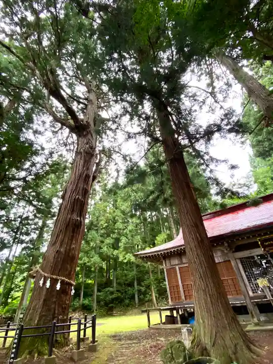 飯縄神社 里宮(皇足穂命神社)の自然