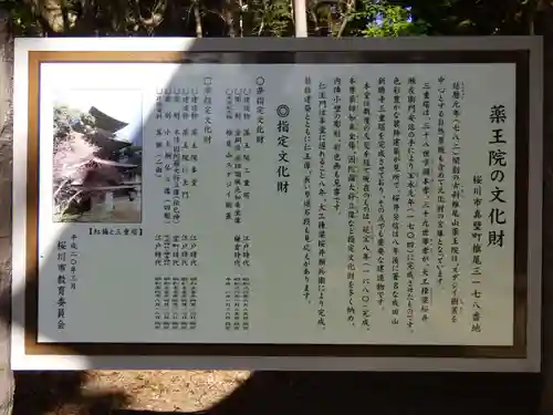 椎尾山薬王院の歴史