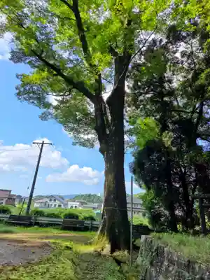 豊由氣神社　(静岡県)