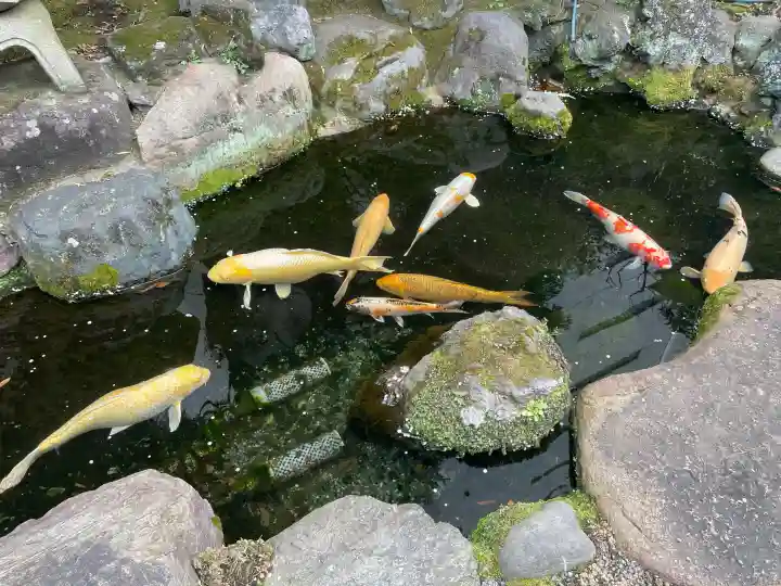 正念寺の{uncategorized: "未分類", other: "その他", undefined: "問題あり", building: "その他建物", grave: "お墓", sacred_gate: "鳥居", guardian: "狛犬", statue: "像", buddha: "仏像", history: "歴史", nature: "自然", garden: "庭園", animal: "動物", pagoda: "塔", temizu: "手水舎", mountain_gate: "山門・神門", sanctuary: "本殿・本堂", subordinate: "末社・摂社", art: "芸術", scenery: "景色", jizo: "地蔵", ema: "絵馬", goshuin: "御朱印", omikuji: "おみくじ", items: "授与品その他", amulet: "お守り", goshuincho: "御朱印帳", eats: "食事", festival: "お祭り", votive_dance: "神楽", shichigosan: "七五三参", wedding: "結婚式", experience: "体験その他", initially: "初詣", around: "周辺", anti_infection: "感染症対策"}