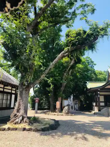 大阪護國神社(大阪府)