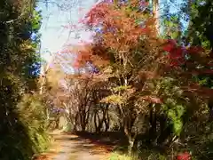 吉野宮神社の景色