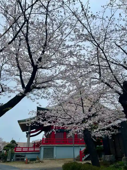 千葉寺の{uncategorized: "未分類", other: "その他", undefined: "問題あり", building: "その他建物", grave: "お墓", sacred_gate: "鳥居", guardian: "狛犬", statue: "像", buddha: "仏像", history: "歴史", nature: "自然", garden: "庭園", animal: "動物", pagoda: "塔", temizu: "手水舎", mountain_gate: "山門・神門", sanctuary: "本殿・本堂", subordinate: "末社・摂社", art: "芸術", scenery: "景色", jizo: "地蔵", ema: "絵馬", goshuin: "御朱印", omikuji: "おみくじ", items: "授与品その他", amulet: "お守り", goshuincho: "御朱印帳", eats: "食事", festival: "お祭り", votive_dance: "神楽", shichigosan: "七五三参", wedding: "結婚式", experience: "体験その他", initially: "初詣", around: "周辺", anti_infection: "感染症対策"}
