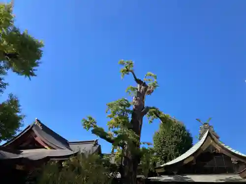 素盞雄神社(東京都)