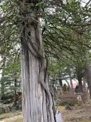 山部神社の御朱印