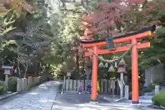 霊山寺の鳥居