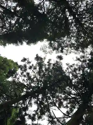上色見熊野座神社(熊本県)