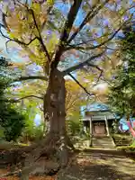 愛宕神社の自然