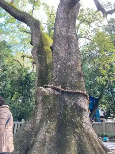 伊弉諾神宮(兵庫県)