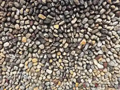 南光寺(和歌山県)