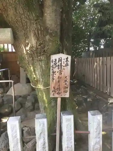 伊勢神社の歴史