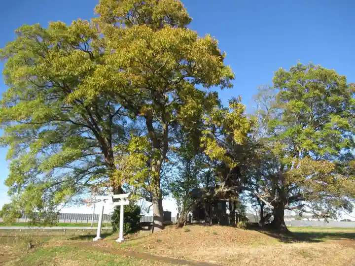 神明神社(千葉県)