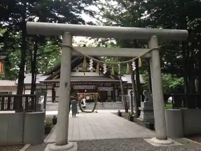 新琴似神社の鳥居