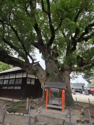 佐嘉神社・松原神社(佐賀県)