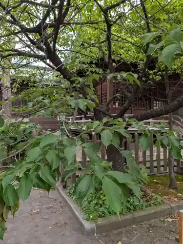 新宿下落合氷川神社(東京都)