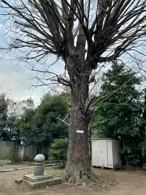 最勝寺教学院(東京都)