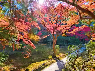 寿量山 速成寺(奈良県)
