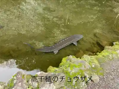久太郎水神(宮崎県)