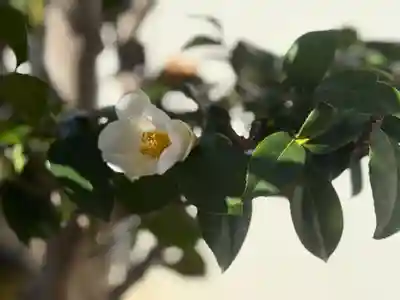 西方山極楽寺(岐阜県)