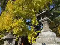 美奈宜神社(福岡県)