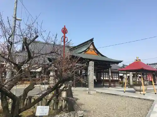 乙津寺　（鏡島弘法）の本殿・本堂
