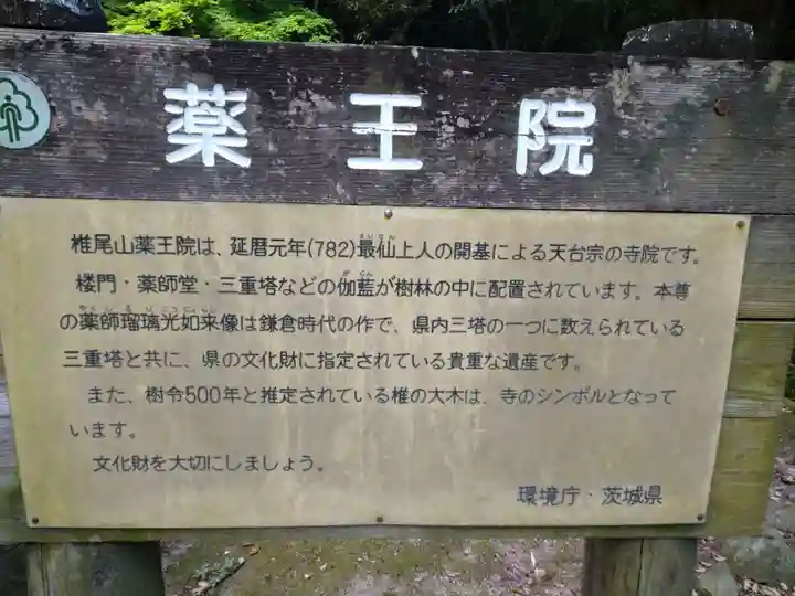 椎尾山薬王院(茨城県)