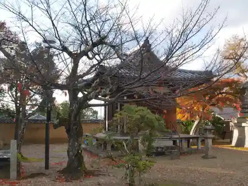 新薬師寺のその他建物